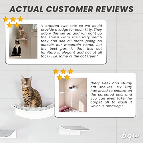 bqw Floating Cat Shelf Wall Mounted Cat Bed Furniture Climbing Wall for Cat Perching Sleeping Lounging with 2 Steps (Curved)