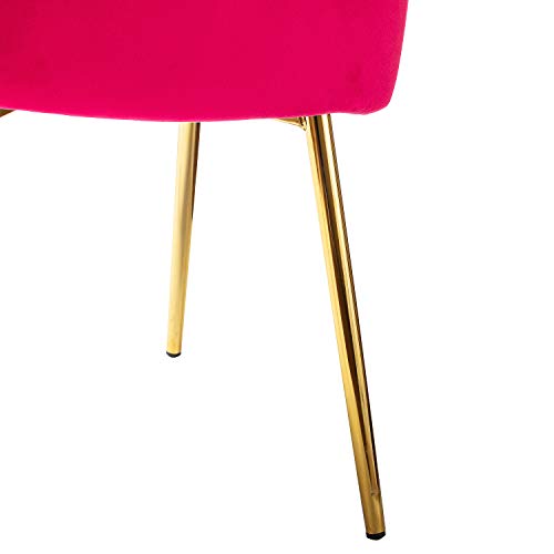 TINA'S HOME Velvet Dining Chairs Set of 2, Modern Upholstered Side Chair with Golden Legs, Small Cute Armless Accent Chair for Living Room, Kitchen, Bedroom, Beauty Room/Fuchsia