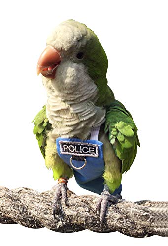 Bird Clothes Parrot Diapers Bird Flight Suits, Reusable Waterproof Diapers pet Bird Supplies Poli(L)