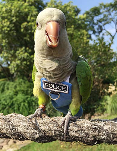 Bird Clothes Parrot Diapers Bird Flight Suits, Reusable Waterproof Diapers pet Bird Supplies Poli(L)