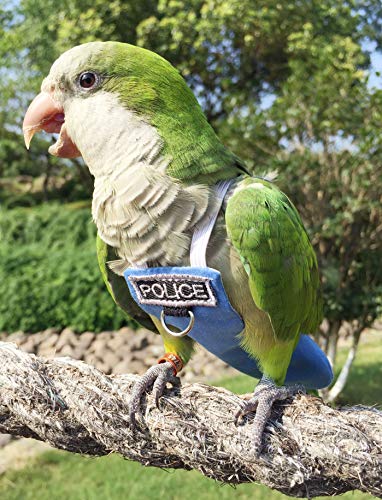 Bird Clothes Parrot Diapers Bird Flight Suits, Reusable Waterproof Diapers pet Bird Supplies Poli(L)