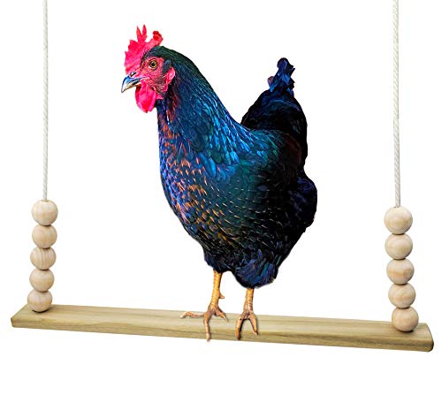 Chicken Swing Coop Toy Made in USA! Natural Wood Safe Durable Flat Bar Perch Ladder for Poultry Run Rooster Hens Chicks Pet Parrots Macaw Entertainment Stress Relief for Birds