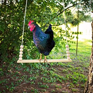 Chicken Swing Coop Toy Made in USA! Natural Wood Safe Durable Flat Bar Perch Ladder for Poultry Run Rooster Hens Chicks Pet Parrots Macaw Entertainment Stress Relief for Birds