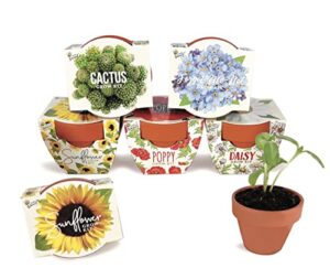 buzzy® terracotta mini grow pots | assorted 6-pack | daydream collection | sunflower, daisy, poppy, cactus, forget-me-not | best gardening gifts and favors | growth guaranteed