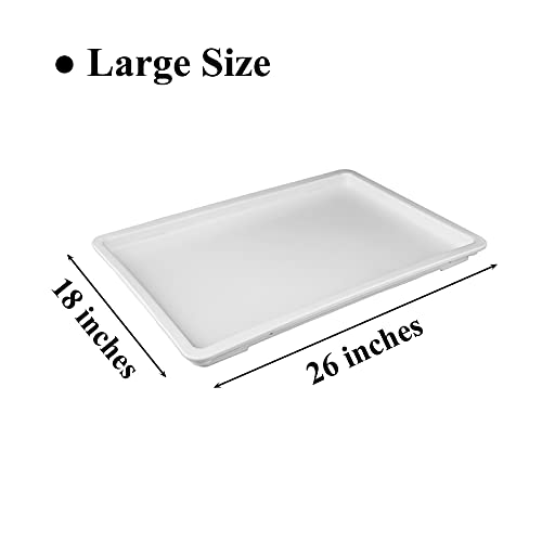 Caspian White Lid for Plastic Pizza Dough Box Covering,1 Piece(Lid)