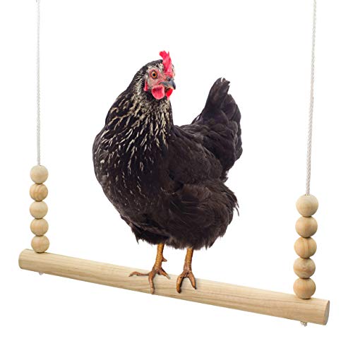 Backyard Barnyard Chicken Swing Handmade in USA!!! ! Toy for Coop (Round Bar) Natural Safe Large Wood Perch Ladder for Poultry Run Rooster Hens Chicks Pet Parrots Pollo Stress Relief for Birds