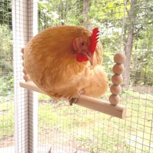 Backyard Barnyard Chicken Swing Handmade in USA!!! ! Toy for Coop (Round Bar) Natural Safe Large Wood Perch Ladder for Poultry Run Rooster Hens Chicks Pet Parrots Pollo Stress Relief for Birds