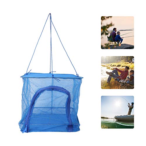 Cabilock Herb Drying Rack Net Dryer Layer Folding Hanging Basket Dryer Bag Collapsible Mesh Hanging Drying Net for Vegetable Flowers Plants 35X35X30cm (Blue)