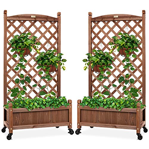 Best Choice Products Set of 2 48in Wood Planter Box & Diamond Lattice Trellis, Mobile Outdoor Raised Garden Bed for Climbing Plants w/Drainage Holes, Optional Wheels - Walnut