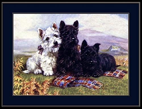 TYmall Jigsaw Puzzle,1000 Piece Puzzle Kids Adult English Picture West Highland Scottish Terrier Dog Art Vintage Educational Toy Family Entertainment Educational Wooden Puzzles