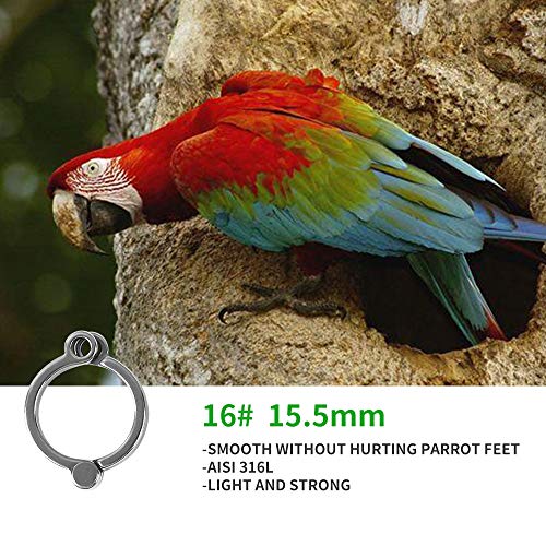 Bird Foot Rings AISI 316L Stainless Steel Bird Harness Outdoor Parrots Leg Ring Outdoor Fly Training Activity Opening Clip Accessories for Parrots(15.5mm)