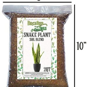 Snake Plant Soil Mix, Specially Formulated for Sansevieria Trifascatia Zeylanica Plants, 2 Quarts