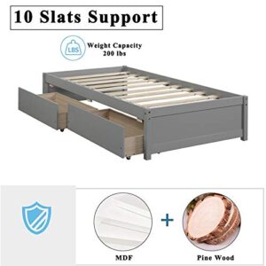 AOOSWEER Twin Platform Bed Frame with 2 Storage Drawers, Wood Twin Bed Frames for Kids Toddler Girls Boys, 10 Slats Support, No Box Spring Needed, Easy Assembly ( Twin, Dark Grey)