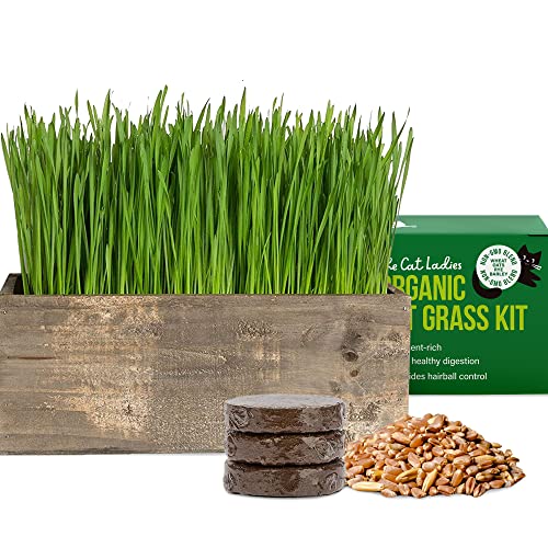 The Cat Ladies Cat Grass Kit Complete with Rustic Wood Planter, Organic Seed and Soil. Easy to Grow - Great for Indoor or Outdoor Cat, Dogs and Other Pets. Prevent Hairballs and Aid Digestion…