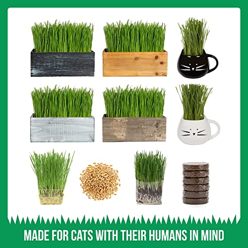 The Cat Ladies Cat Grass Kit Complete with Rustic Wood Planter, Organic Seed and Soil. Easy to Grow - Great for Indoor or Outdoor Cat, Dogs and Other Pets. Prevent Hairballs and Aid Digestion…