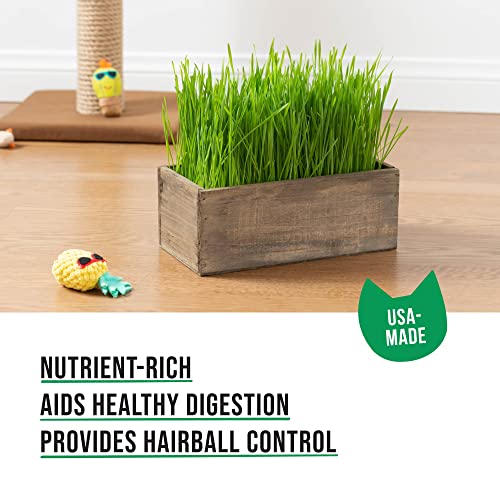 The Cat Ladies Cat Grass Kit Complete with Rustic Wood Planter, Organic Seed and Soil. Easy to Grow - Great for Indoor or Outdoor Cat, Dogs and Other Pets. Prevent Hairballs and Aid Digestion…