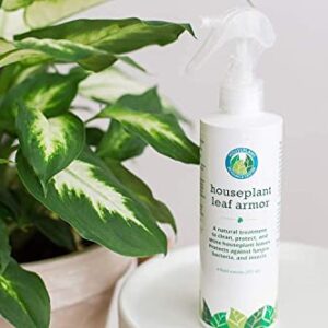 Houseplant Resource Center Plant Leaf Armor – Leaf Shine and Indoor Plant Cleaner Spray – Fortifies and Protects Indoor Plants and Keeps Leaves Green & Gorgeous