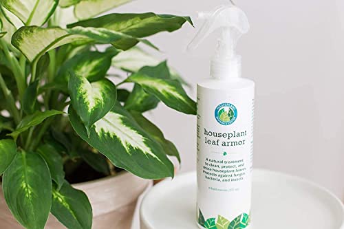 Houseplant Resource Center Plant Leaf Armor – Leaf Shine and Indoor Plant Cleaner Spray – Fortifies and Protects Indoor Plants and Keeps Leaves Green & Gorgeous