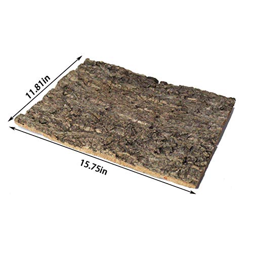 Cork Terrarium Background Natural Cork Bark Backdrop Reptile Climbing Mat Habitat Decor for Spider Lizard Chamelon Turtle Beared Dragon(2 PCS)