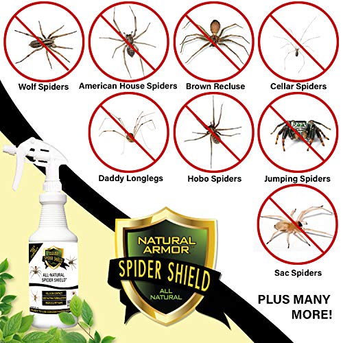 Spider Killer & Repellent Spray - Powerful Peppermint Formulation Kills & Repels All Types of Spiders and Works Better Than Ultrasonic Gimmicks – 128 fl oz Gallon Ready to Use