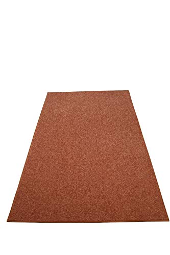 Furnish my Place Modern Plush Solid Color Rug - Rust, 3' x 5', Pet and Kids Friendly Rug. Made in USA, Rectangle, Area Rugs Great for Kids, Pets, Event, Wedding