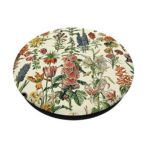 Cute Flowers Vintage Botanical Floral Illustration PopSockets Swappable PopGrip