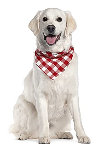 Birthday Plaid Dog Bandana with Button, Dual Layer Scarf Soft Cotton Triangle Bib Girls and Boys Kerchief Adjustable Accessories for Small Medium Large Extra Large Dog Puppy Pet Cat