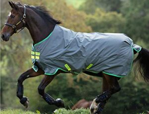 horseware ireland amigo hero 900 turnout medium 200g grey/green 81