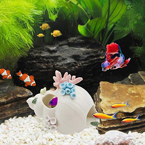 Starryfill Aquarium Decorations White Ceramic Conch Thematic Ornament with Three Holes for Betta Fish Passing or Hiding Safely,Betta Fish Tank for Small and Medium Fish