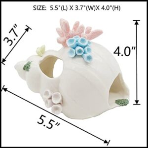 Starryfill Aquarium Decorations White Ceramic Conch Thematic Ornament with Three Holes for Betta Fish Passing or Hiding Safely,Betta Fish Tank for Small and Medium Fish