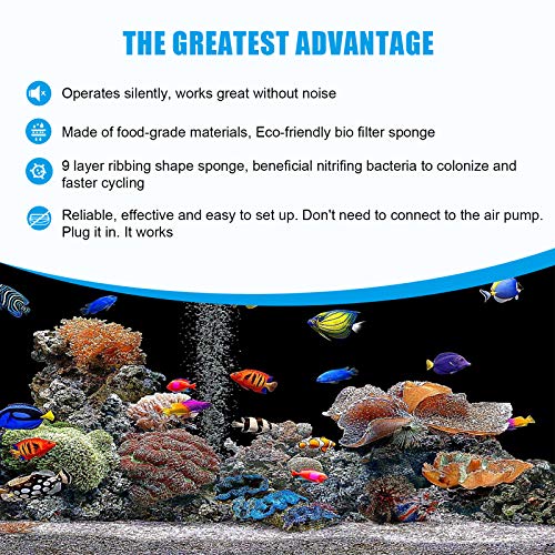 AQQA Aquarium Sponge Water Filter, Power Driven Double Biochemical Filter, Quiet Submersible Foam Filter with 2 Extra Sponges, 1 Bag of Filtered Ceramic Balls for Fresh and Salt Water Fish Tank (L)