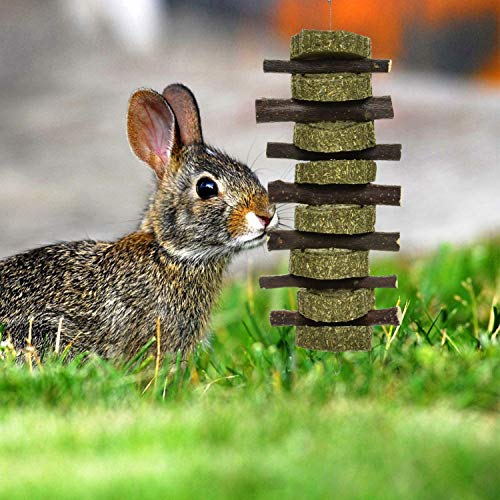 alfyng 3 PCS Bunny Chew Toys for Teeth Grinding, Organic Apple Wood Sticks Pet Snacks Chewing Playing Toys with Grass Cake for Rabbits, Chinchilla, Guinea Pigs, Hamsters and Other Small Animals