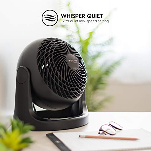 IRIS USA WOOZOO Air Circulator Fan, Vortex Fan, Desk Fan, Portable Fan, 3 Speed Settings, 360 Tilting Head, 46ft Max Air Distance, Medium, Black