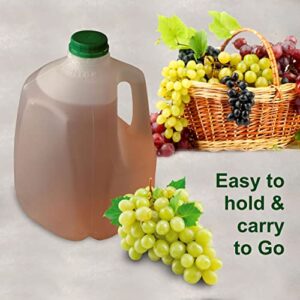 [10 PACK] Empty Plastic Gallon Juice Bottles with Tamper Evident Caps 128 OZ - Smoothie Bottles - Ideal for Juices, Milk, Smoothies, Picnic's and even Meal Prep by EcoQuality Juice Containers