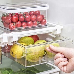 Fridge Drawer Organizer with Handle, Pull-out Refrigerator Storage Organizer Bins, Fridge Shelf Holder Storage Box