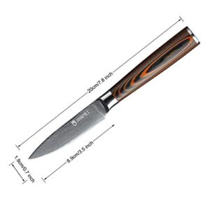 JOURMET 3-1/2" Damascus Paring Knife with Japanese VG10 Super Steel Core, Professional 67-layer Handmade PAKKA Wood Handle with S/S 430 Bolster