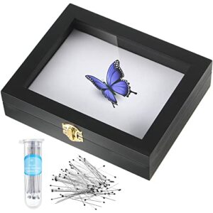 insect display case box collection box with clear top, eva foam pinning board and 100 pieces pins insect shadow box kit entomology supplies for collecting butterfly specimen (black)