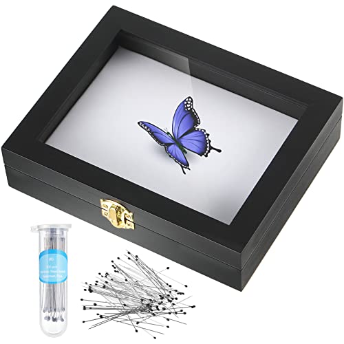 Insect Display Case Box Collection Box with Clear Top, EVA Foam Pinning Board and 100 Pieces Pins Insect Shadow Box Kit Entomology Supplies for Collecting Butterfly Specimen (Black)