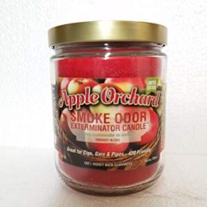 Smoke Odor Exterminator 13 oz Jar Candle Apple Orchard