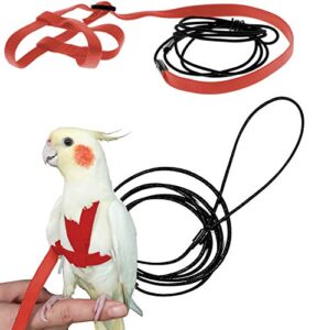 szsjbk bird harness, adjustable parrot nylon leash with anti-bite design for outdoor activities training, suitable for eastern bluebonnet parrot, cockatoo, parakeet, doves 6.2ft (s)