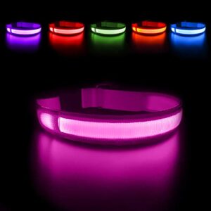 MASBRILL Light Up Dog Collar, Glow LED Dog Collar Rechargeable Lighted Dog Collar Flashing Night Walking Collar Waterproof, 4 Colors with 3 Sizes for Small Medium Large Dogs