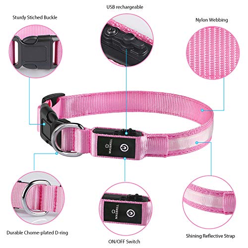 MASBRILL Light Up Dog Collar, Glow LED Dog Collar Rechargeable Lighted Dog Collar Flashing Night Walking Collar Waterproof, 4 Colors with 3 Sizes for Small Medium Large Dogs