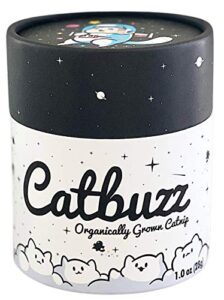 catbuzz premium and organically grown catnip, fresh, grown by family farmers in usa, all-natural, eco-friendly, sustainable