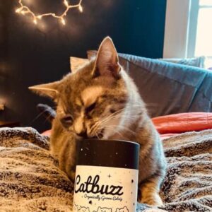 Catbuzz Premium and Organically Grown Catnip, Fresh, Grown by Family Farmers in USA, All-Natural, Eco-Friendly, Sustainable