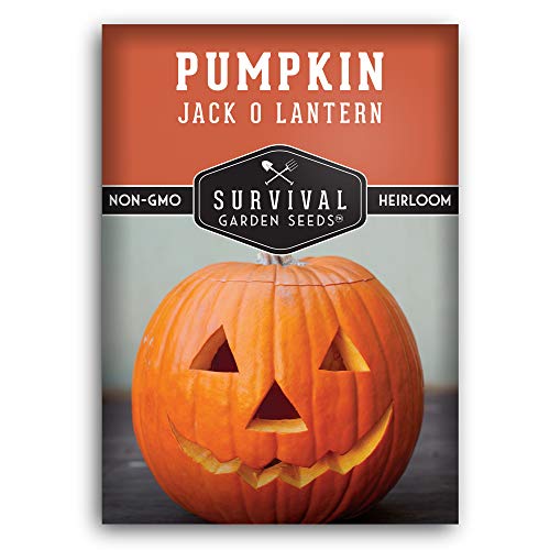 Survival Garden Seeds - Jack-O-Lantern Pumpkin Seed for Planting - Packet with Instructions to Plant and Grow Orange Carving Pumpkins in Your Home Vegetable Garden - Non-GMO Heirloom Variety
