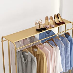 FONECHIN Heavy Duty Gold Clothing Rack for Boutique Use, Metal Garment Rack with Top Shelf, Dual-bar Clothes Rack for Retail Display