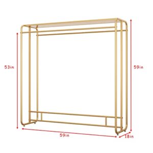 FONECHIN Heavy Duty Gold Clothing Rack for Boutique Use, Metal Garment Rack with Top Shelf, Dual-bar Clothes Rack for Retail Display