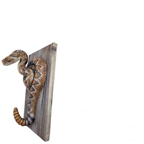 Rattlesnake Decorative Snake Wall Hook Single with Rustic Wood Base