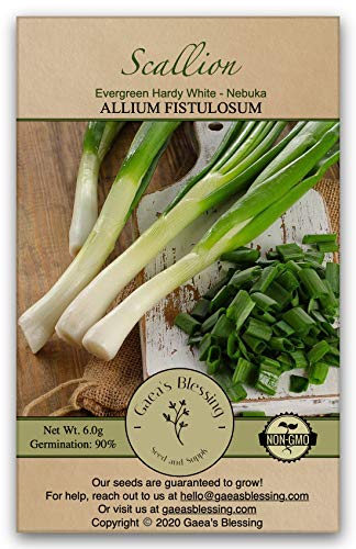 Gaea's Blessing Seeds - Scallion Seeds - Non-GMO Seeds with Easy to Follow Planting Instructions - Bunching Evergreen Hardy White Nebuka 90% Germination Rate 3.5g