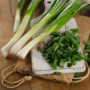 Gaea's Blessing Seeds - Scallion Seeds - Non-GMO Seeds with Easy to Follow Planting Instructions - Bunching Evergreen Hardy White Nebuka 90% Germination Rate 3.5g